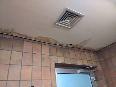 Blick an die Decke der Turnhalle. Wassereinbruch- immer wieder!